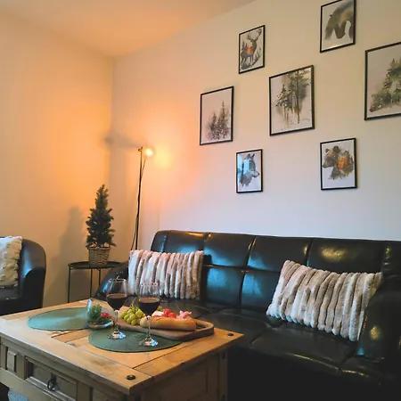 Pine's - Cozy With Free Bottle Of Wine, Private Wifi, Free Parking Μπάνσκο